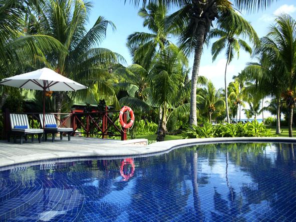 Paradise Sun - pool